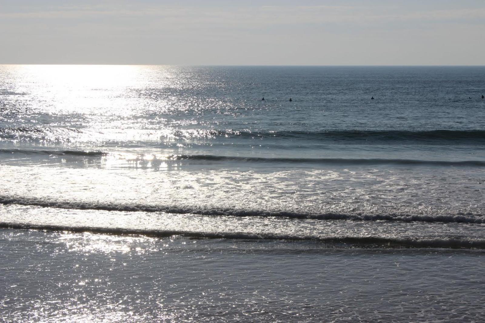 Enjoy Ocean Life At Costa Da Caparica!
