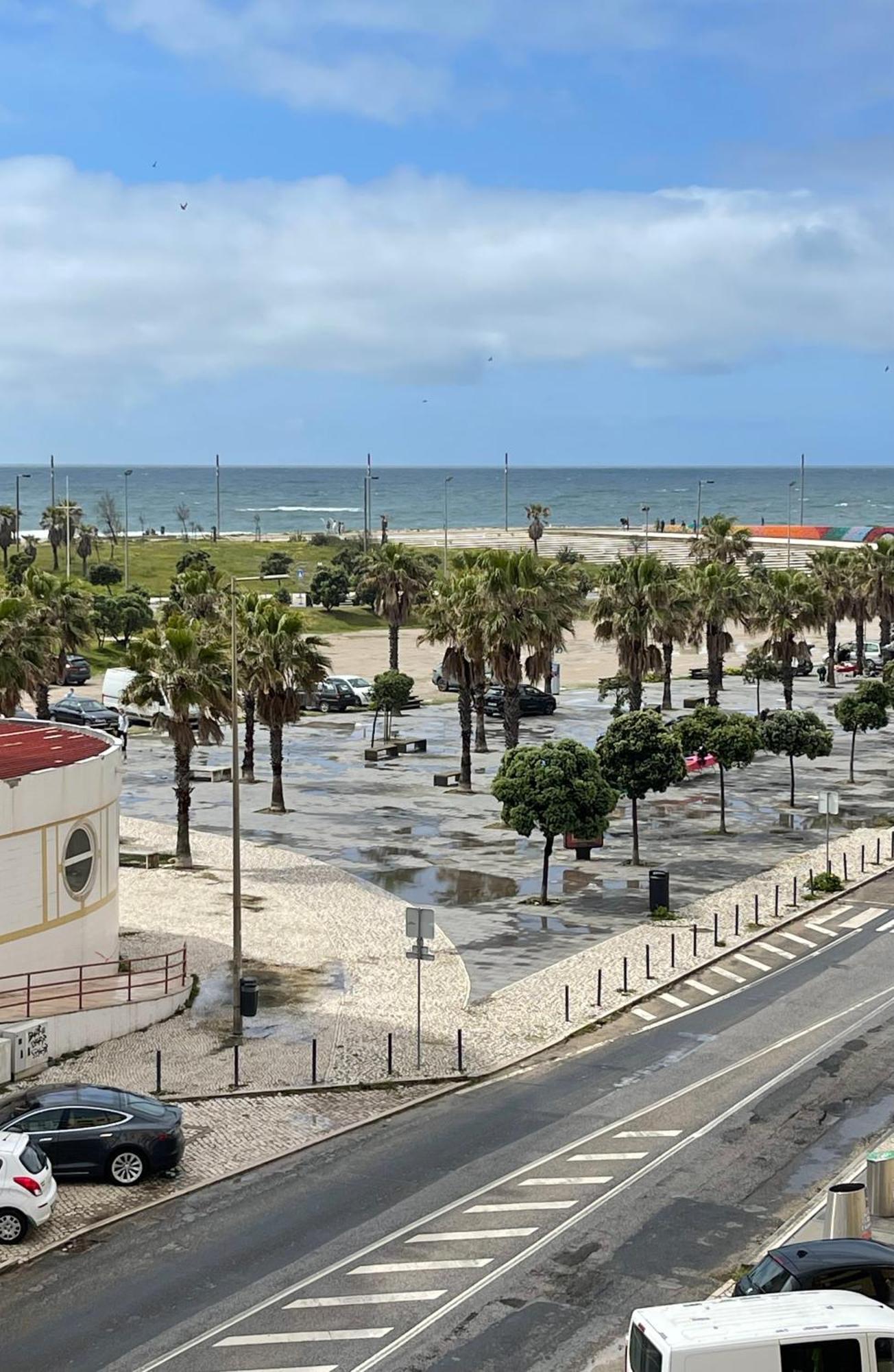 Enjoy Ocean Life At Costa Da Caparica!